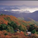 금산1리 | [충남] 금산 여행지 추천