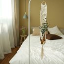 (원데이) 그린 플랜트 이미지