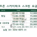 스카이 골프존 이미지