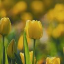 내린천자원 이미지