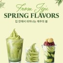 폴바셋혜화역점 이미지