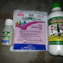 소룡농장 이미지