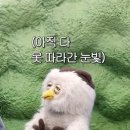 딩동댕 이미지