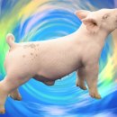 후천농장 이미지