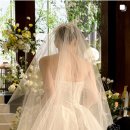 그랜드화원 | [짝꿍코드 공유, 댓글] 아이폰 스냅 "비밀의 화원" 계약 후기