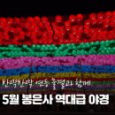 봉은사목사천왕상 | 5월에 꼭 가야 할 도심 속 사찰 봉은사 야경 후기!