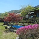 호암민박 이미지