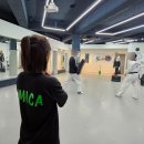 용인대 태권얍 이미지