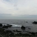 바다를 봄시롱 이미지