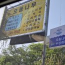 오동나무수상레저 이미지