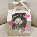 댕파티셰 이미지