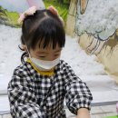 나영목장 이미지