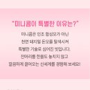 미니콤 이미지