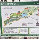 매너울 | 포천 울미숲 캠핑장 이용후기, 경기북부 깨끗한 캠핑장 추천, C 벚나무존