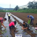 영중면 민원실 이미지