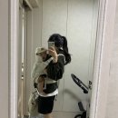 합성양곱창센터 (주)아우룸 | 경블로그ღ육아일기) 9개월 율이 성장 기록 3(생후 281일-생후 285일)