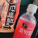 삼십삼살(33세)의 특별한 하루 (미닌헤어메이크업, 시현하다 혜림작가 후기)
