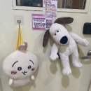 도레미샵 | 연남 소품샵 도레미랜드 후기 치이카와 가득한 소품샵♥