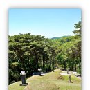 노한묘와 신도비 | 2026년 민족문화유산을 찾아서 - 경기도 파주 율곡 이이 유적지