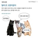 더두두