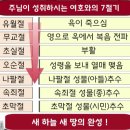 예수님께서 오병이어와 칠병이어의 기적을 행하신 계시-부활의 생명 영과, 혼과, 육의 생명 추수. 마태복음 14장-15장 이미지