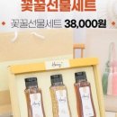 꿀봄 이미지