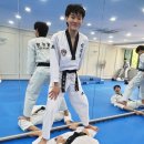 한국체대비전태권도장 이미지