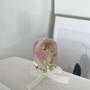 캔들마노 이미지