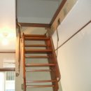 코스모스피아 이미지