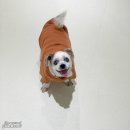 서이동물병원 이미지