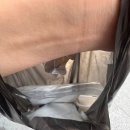 일등본가 | [문현]일등쭈꾸미 포장 후기내돈내산