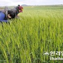 이병주농장 이미지