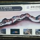 제주 김녕굴 및 만장굴 이미지