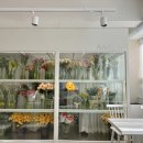 플로리스트 과정 (입문) | 강남 플로리스트학원, 안단테블룸스쿨 / 플로리스트 양성과정(기초입문) / 국비지원 훈련 후기