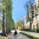 가곡길 | 파주 대형 카페 모큐수라 호수와 정원 아이와 가기 좋은 곳