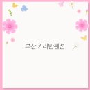 자연카라반펜션 이미지