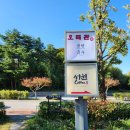 오죽헌/시립박물관 주차장 티스토리