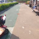 복룡동 어린이놀이테마숲 이미지