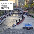 [서울 나들이] 청계천 책 읽는 맑은 냇가 후기ㅡ서울 야외 도서관