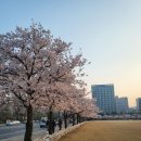 봄날아이한의원 이미지