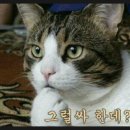 오렌지호텔 이미지