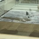 (주)빙키 이미지