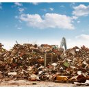 개미환경자원 이미지