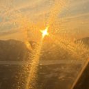 중정로 | 🐶 마요와 함께한 제주 2박 3일 여행기 – 1일차｜올레시장+카페+헤이서귀포 숙소｜애견동반