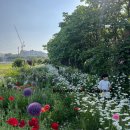정원농장 | 부천 모네정원 체험농장 후기 | 감자·고구마·매실 수확까지 한 번에!
