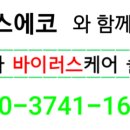 에코출장세차 이미지