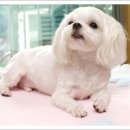 스튜디오아리 이미지