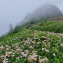 꽃동산화원 이미지