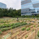 행복을 farm 거제인터넷뉴스