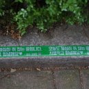 중앙집